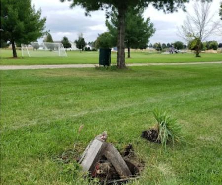 Wild Goose Hike-In Campsites