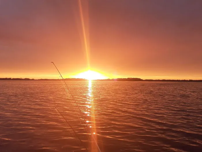 Trailer Island Campground Picture 1