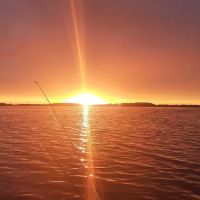 Trailer Island Campground ico