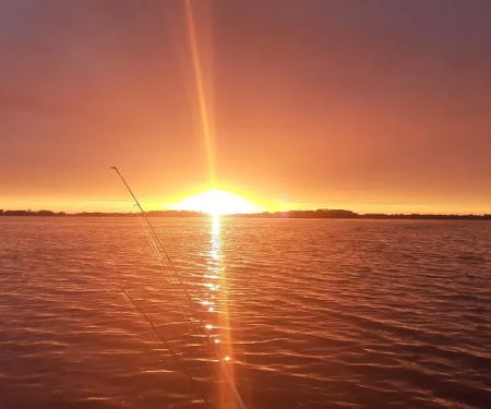 Trailer Island Campground