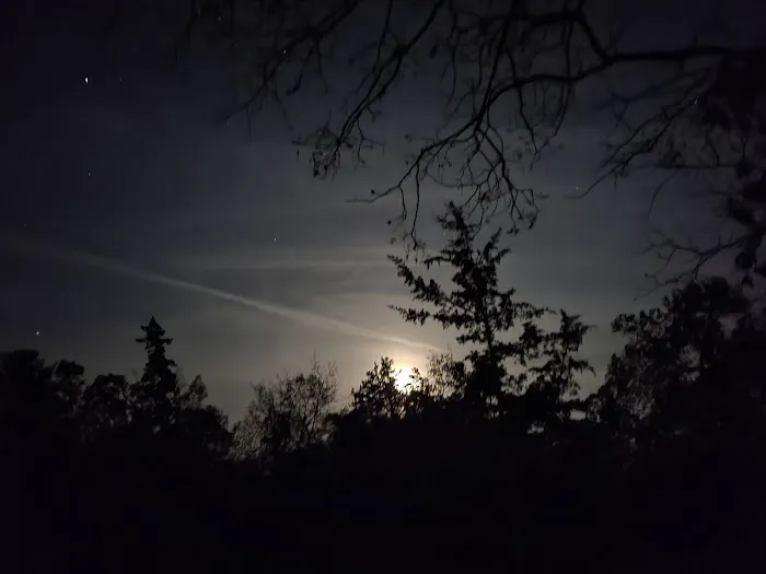 Steel Oak Campground Picture 1