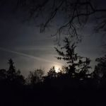 Steel Oak Campground