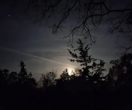 Steel Oak Campground