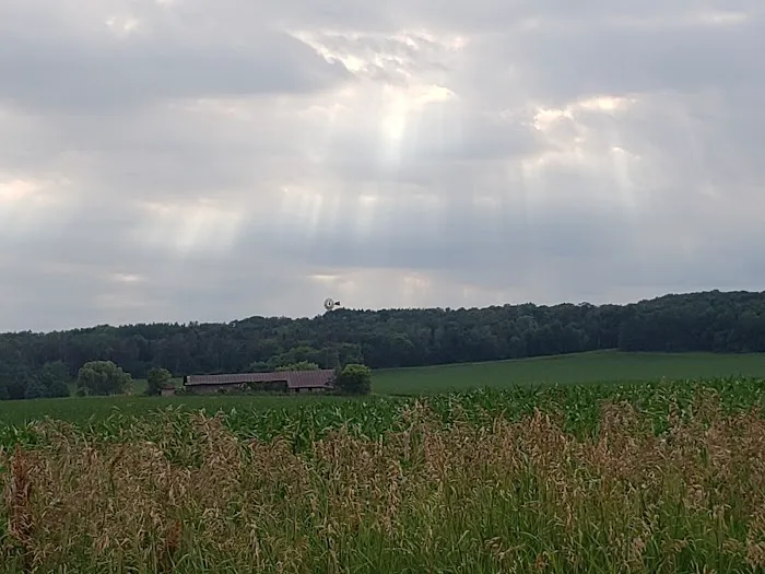 Steel Oak Campground Picture 2