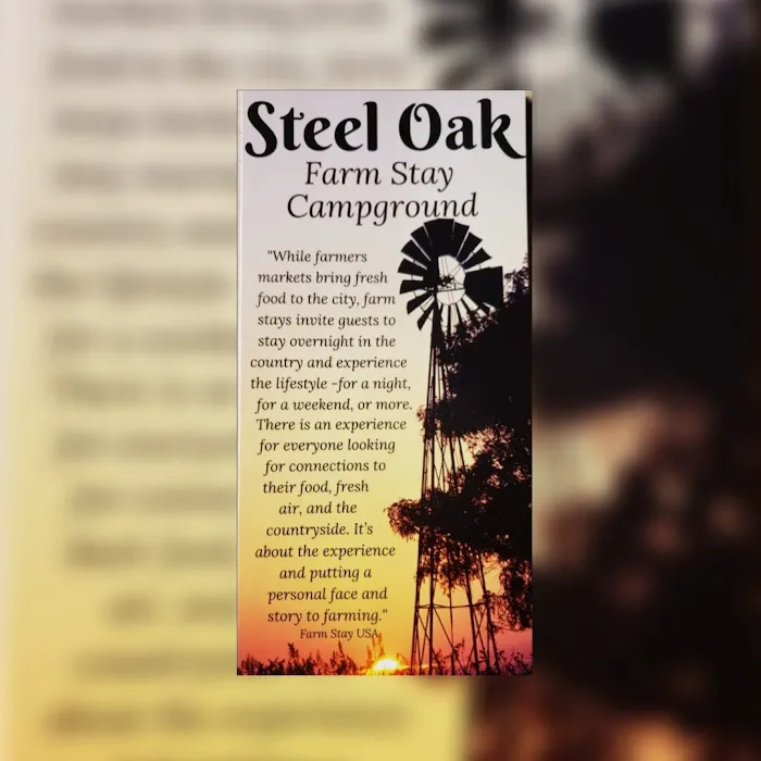 Steel Oak Campground Picture 3