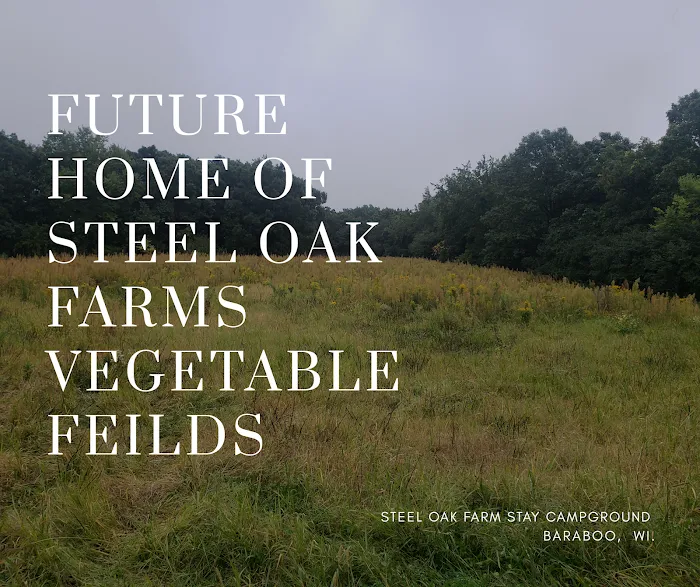 Steel Oak Campground Picture 10