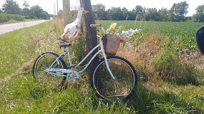 The Lake Linda Barn Picture 7