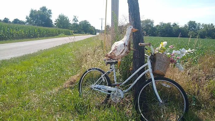 The Lake Linda Barn Picture 8