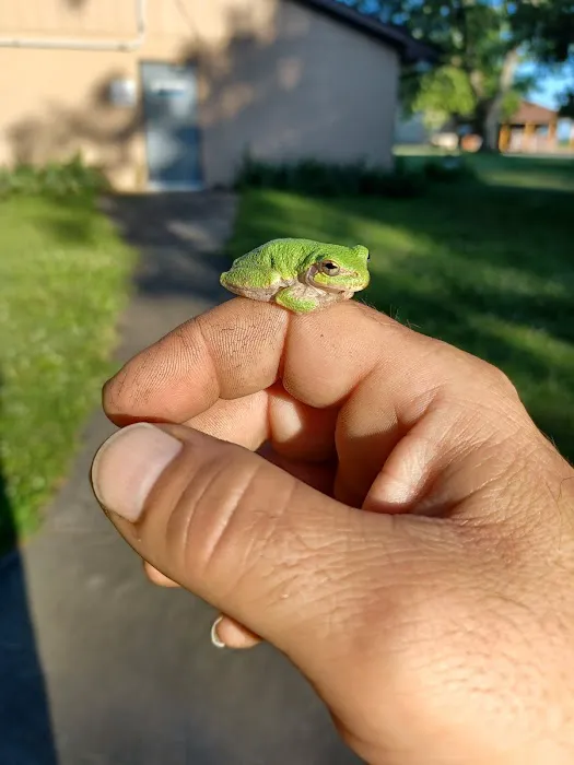 The Kampground Picture 4