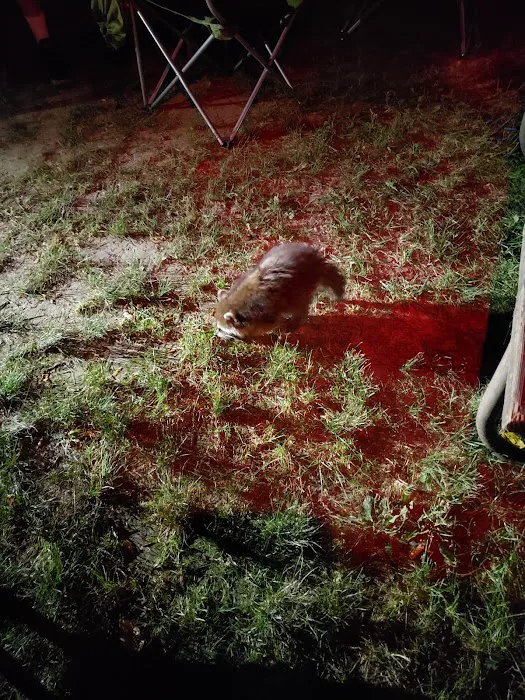 Hickory Point Campground Picture 6