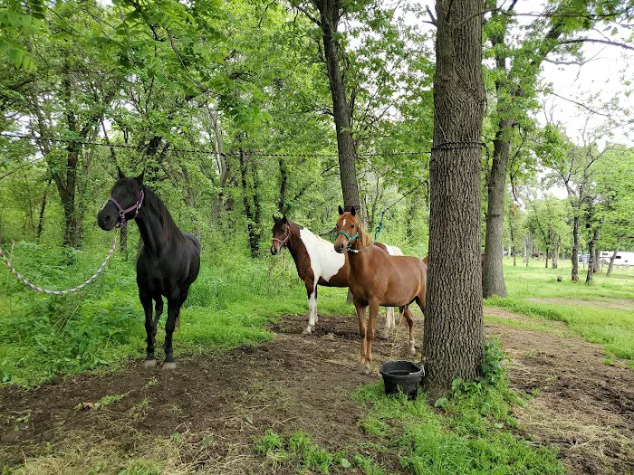 Sandy Oaks Picture 2