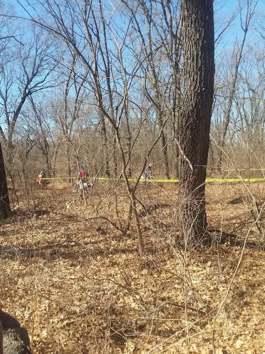 Sandy Oaks Picture 7