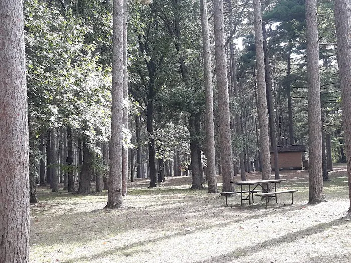 Big River Campground Picture 2