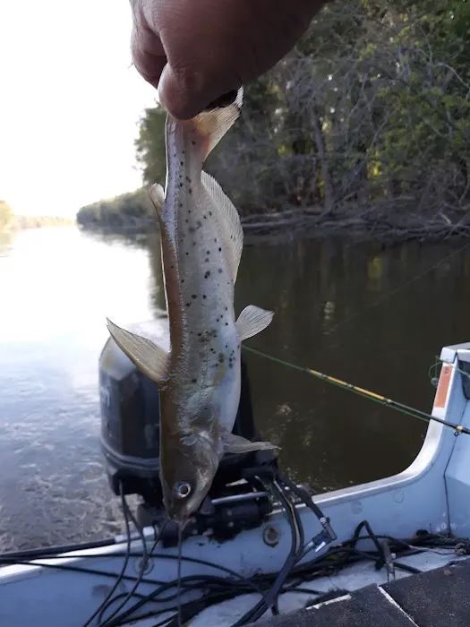 Henderson County Consrvtn Area Picture 1