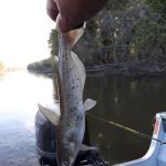 Henderson County Consrvtn Area