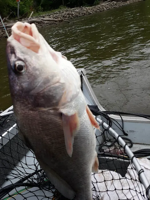 Keithsburg Riverside Campground Picture 8