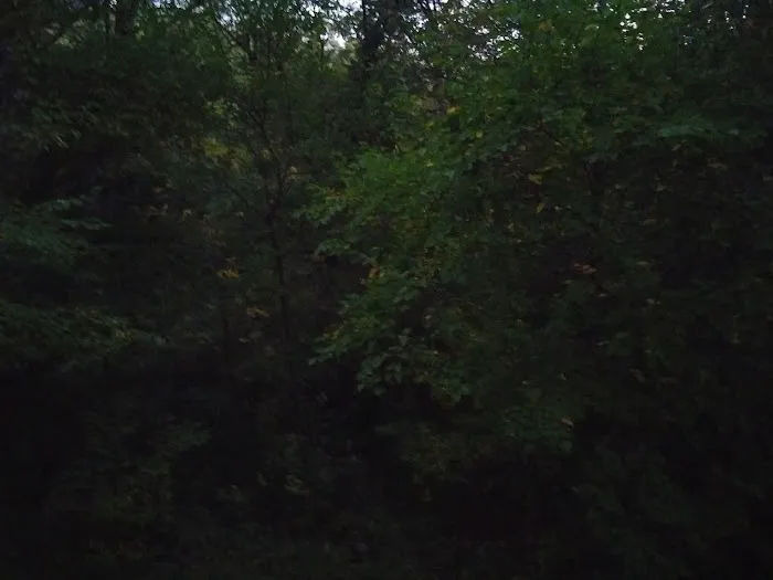 Hidden Lake Picture 4