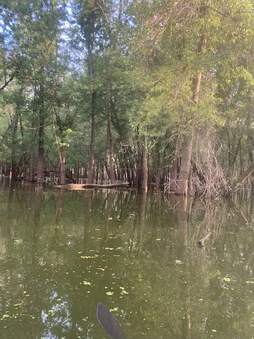 Lake Odessa Campground Picture 6
