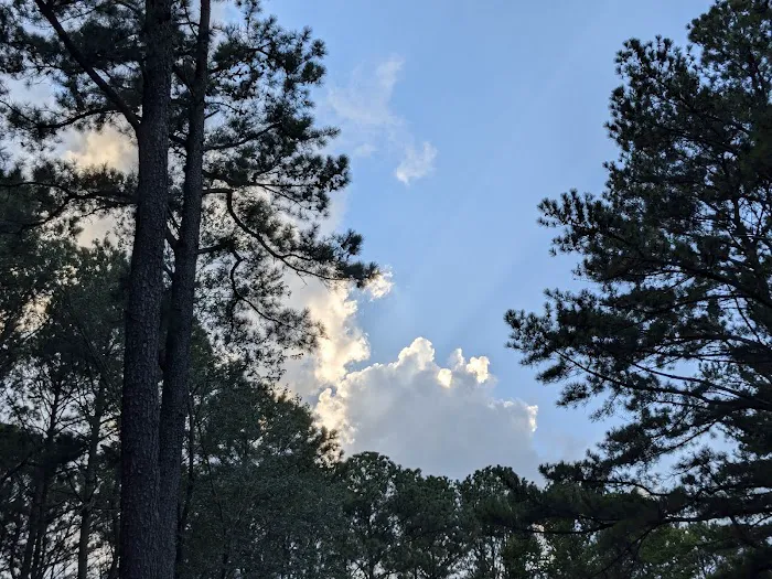 US Army Corps of Engineers Picture 1