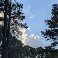 US Army Corps of Engineers ico