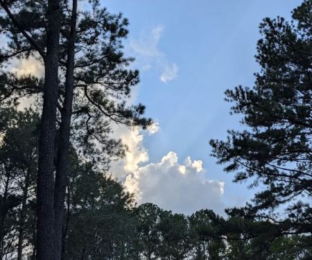 US Army Corps of Engineers