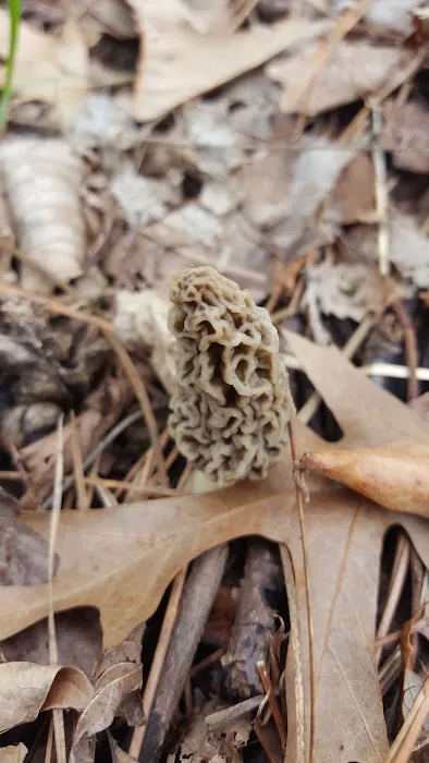 US Army Corps of Engineers Picture 6