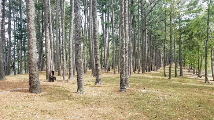 South Marcum Campground Picture 5