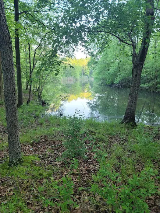 South Marcum Campground Picture 6