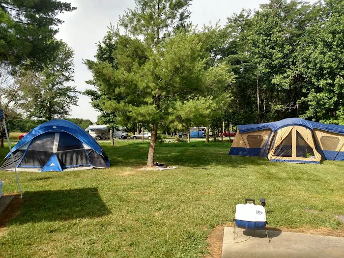 Owl's Roost Picture 3