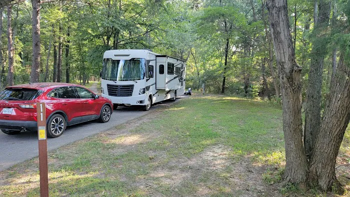 Owl's Roost Picture 8