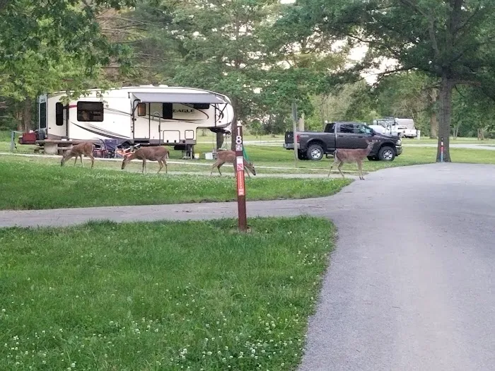 Owl's Roost Picture 4