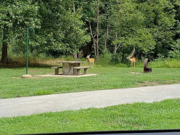 Owl's Roost Picture 9