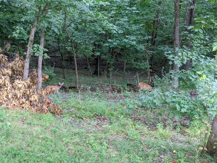 South Marcum Recreational Area Picture 10