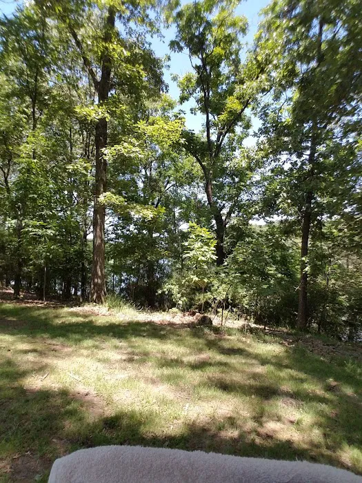 South Marcum Recreational Area Picture 9