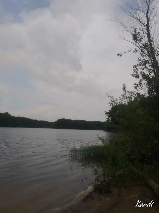 Beaver Lodge Picture 4