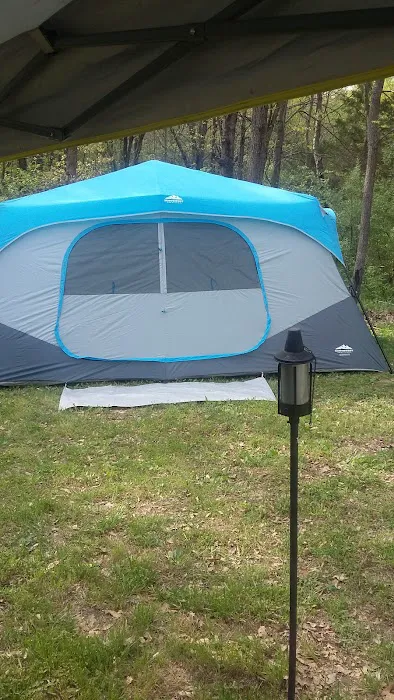 Beaver Lodge Picture 8