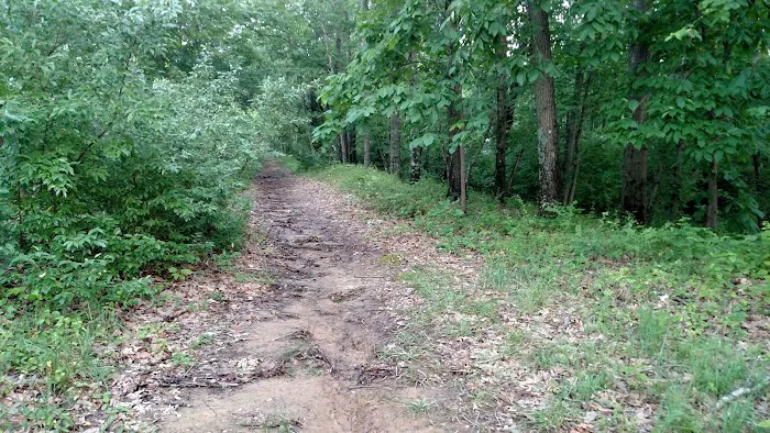 Beaver Lodge Picture 9