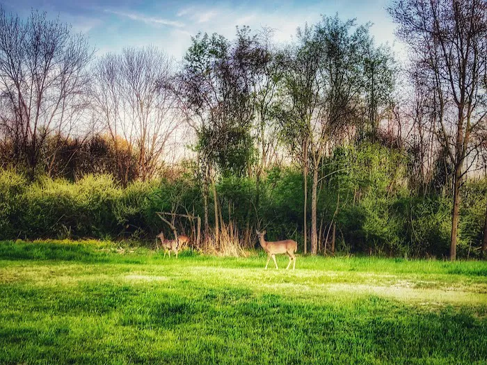 Buck Ridge Picture 6