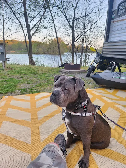 Lake Murphysboro Campground Picture 1