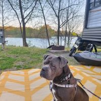 Lake Murphysboro Campground ico