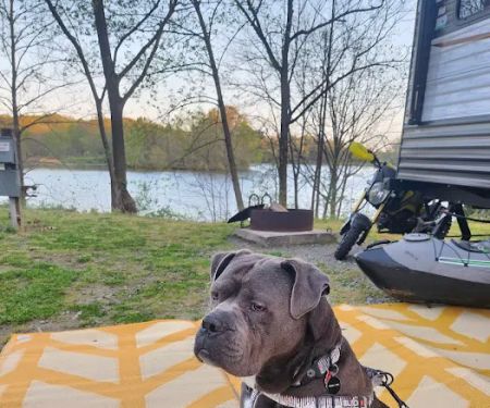 Lake Murphysboro Campground