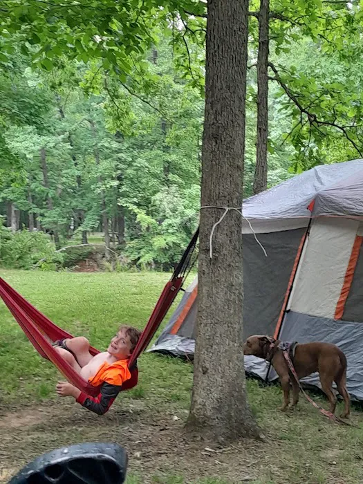 Lake Murphysboro Campground Picture 9