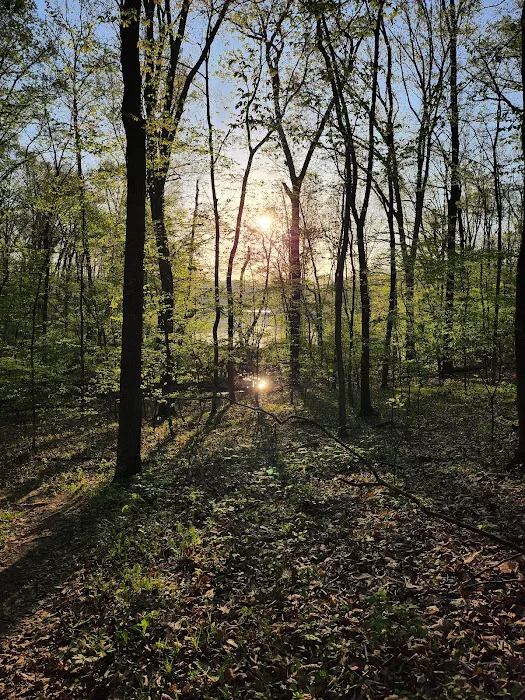 Lake Murphysboro Campground Picture 8
