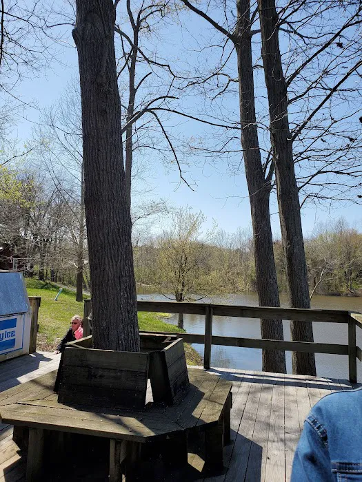 Dry Lake Campground Picture 4