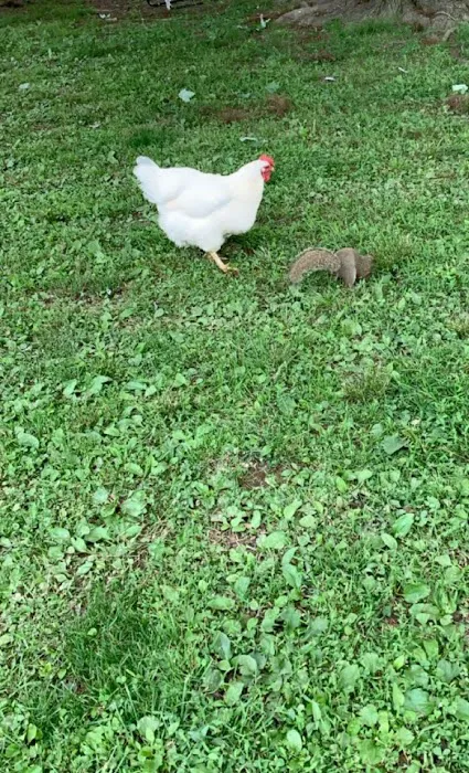 Old Bates Campground Picture 3