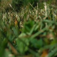 Old Bates Campground ico