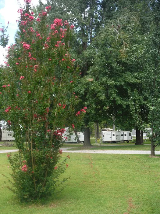 Old Bates Campground Picture 7