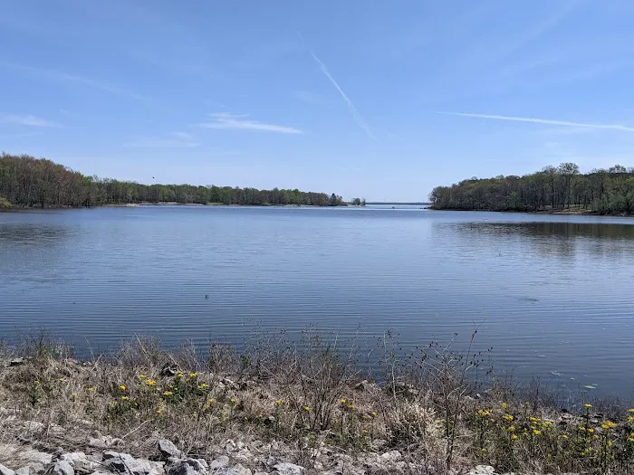 Shagbark Group Area Picture 1