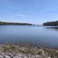 Shagbark Group Area ico