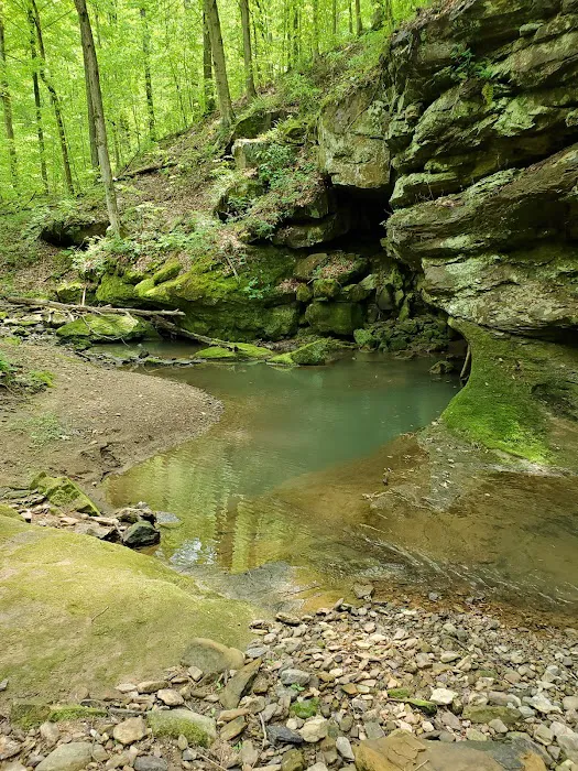 Sharp Rock Falls Rec Inc Picture 4